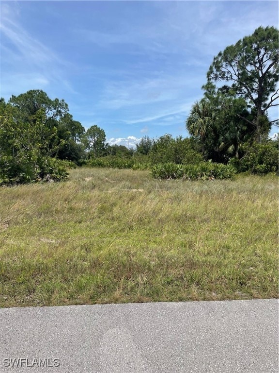 317 Pearson St, Lehigh Acres FL, 33974 land for sale