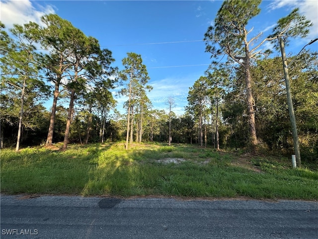 1614 8th Ave, Lehigh Acres FL, 33972 land for sale