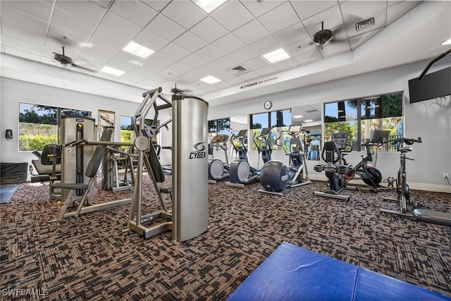 gym featuring a drop ceiling, carpet, and ceiling fan