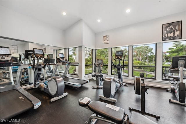 gym featuring a high ceiling