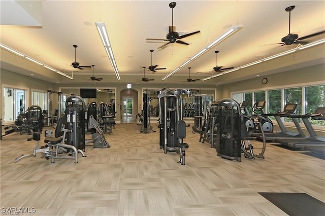 workout area featuring light carpet and ceiling fan