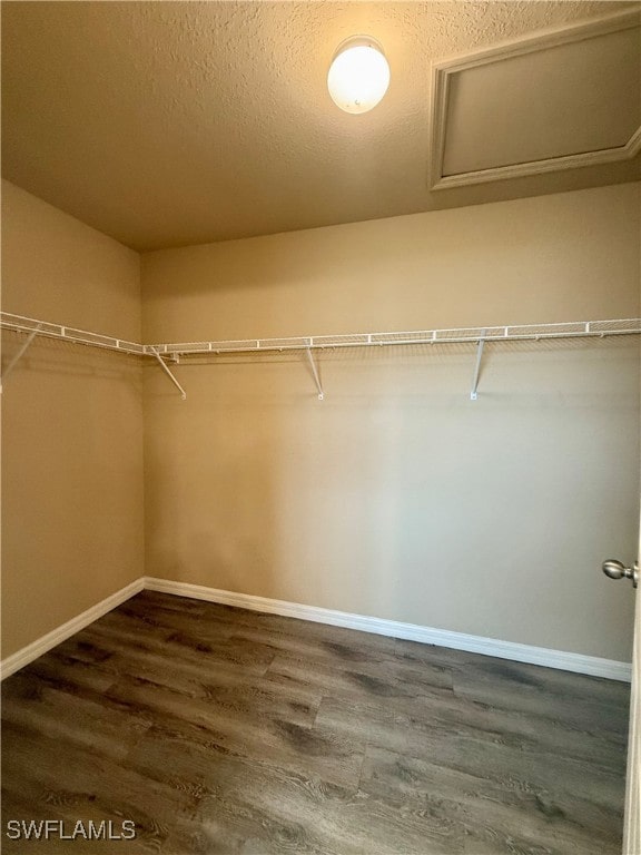 walk in closet with wood-type flooring