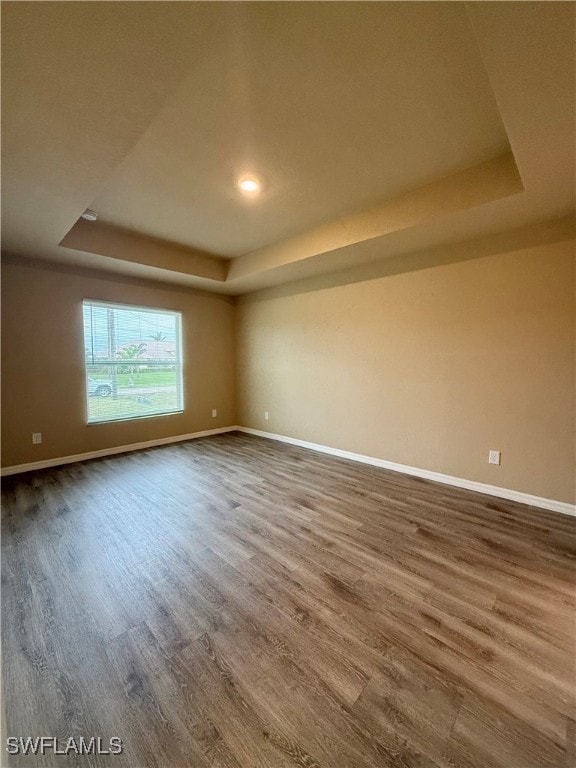 spare room featuring a raised ceiling and hardwood / wood-style flooring