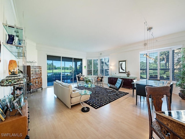 living room with light hardwood / wood-style floors, crown molding, an inviting chandelier, and a wealth of natural light