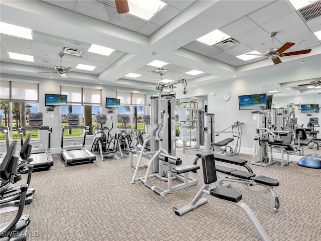 exercise room featuring a paneled ceiling and carpet