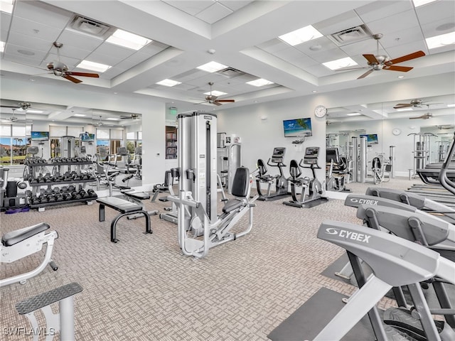 exercise room featuring a drop ceiling and carpet flooring