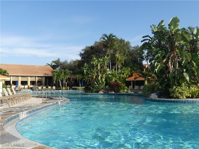 view of pool featuring a patio area