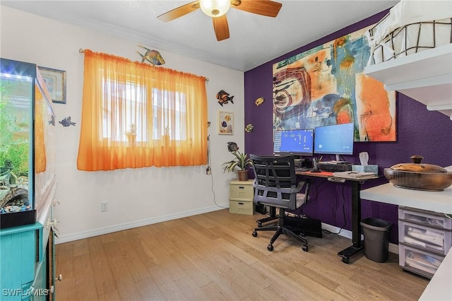 office featuring light hardwood / wood-style floors and ceiling fan