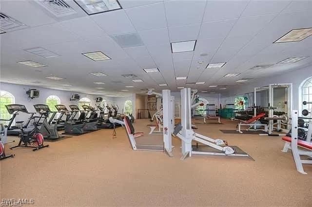 workout area with carpet floors