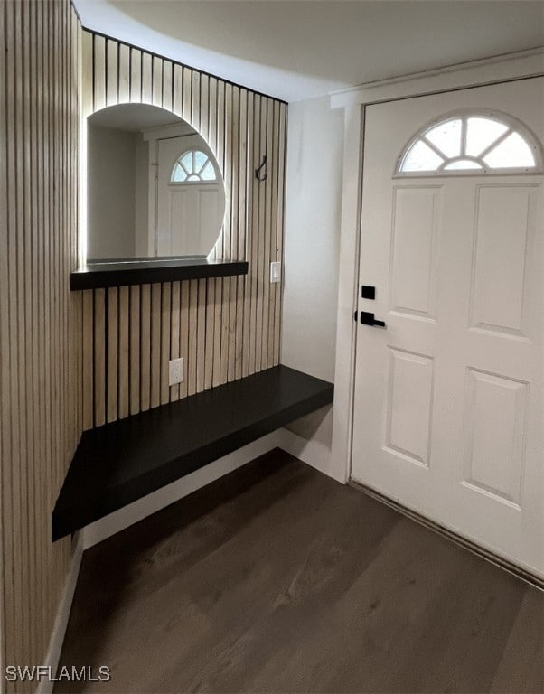 entrance foyer featuring dark hardwood / wood-style floors