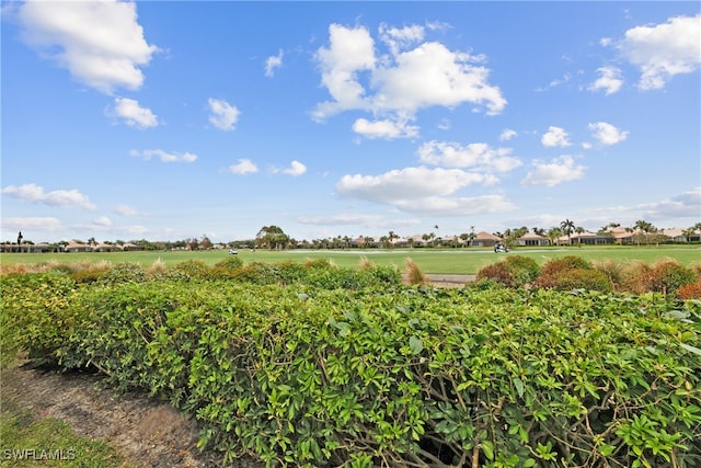 view of yard with a rural view