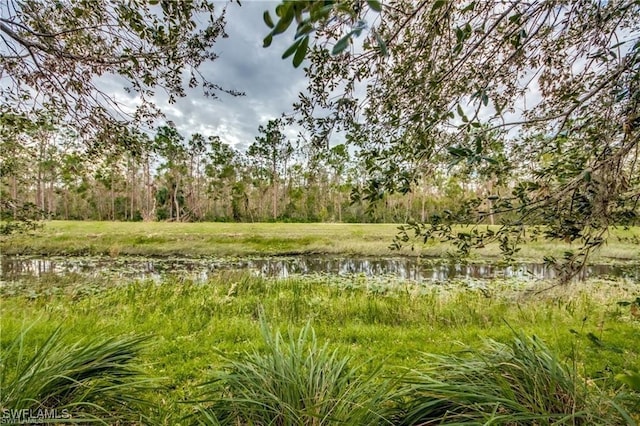 view of local wilderness featuring a water view