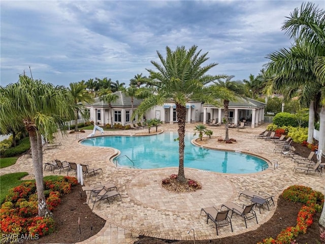 view of pool featuring a patio area