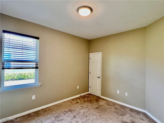 carpeted spare room with a wealth of natural light