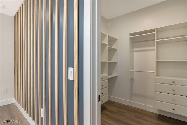 walk in closet with dark wood-type flooring