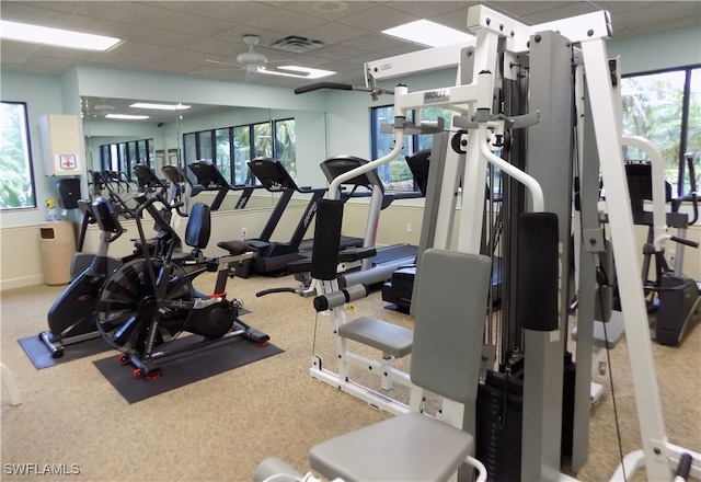 workout area with a drop ceiling, light colored carpet, and ceiling fan