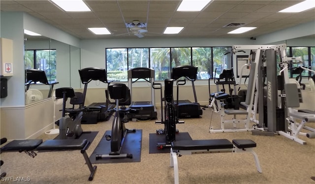 exercise room featuring a paneled ceiling, carpet floors, and ceiling fan