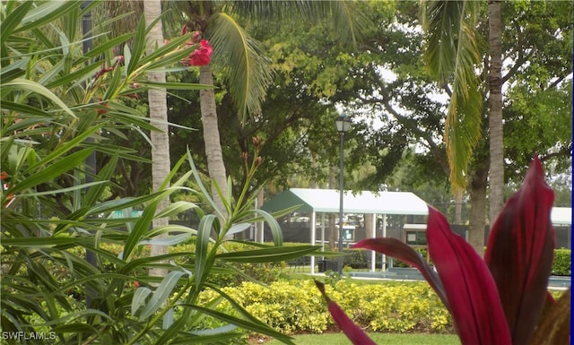 view of playground