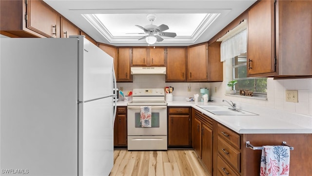 kitchen with decorative backsplash, ceiling fan, light hardwood / wood-style flooring, sink, and white appliances