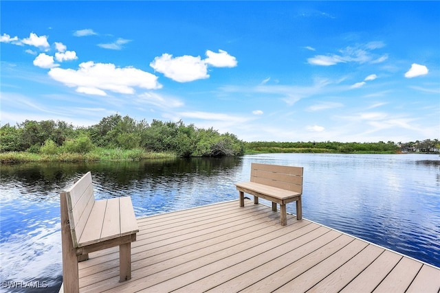 dock area featuring a water view