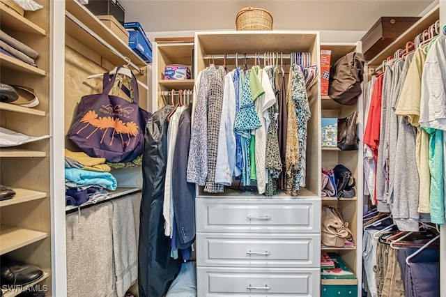 view of spacious closet