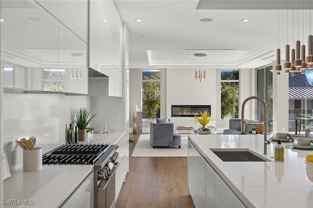 kitchen with a wealth of natural light, high end stainless steel range, dark hardwood / wood-style floors, and sink