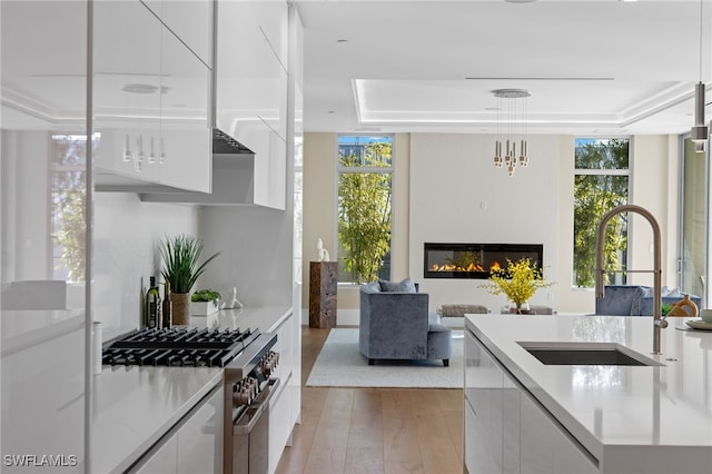 kitchen featuring high end stainless steel range, white cabinets, a healthy amount of sunlight, and light wood-type flooring