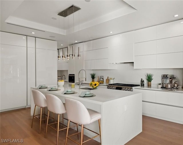 kitchen featuring a tray ceiling, an island with sink, and a kitchen breakfast bar