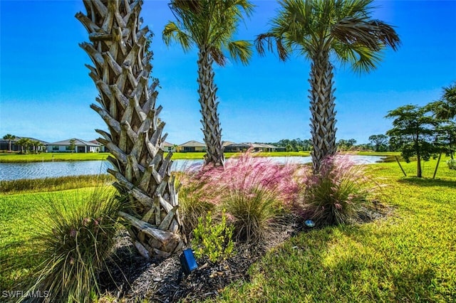 view of yard with a water view