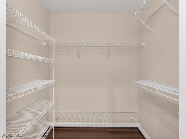 spacious closet featuring wood-type flooring