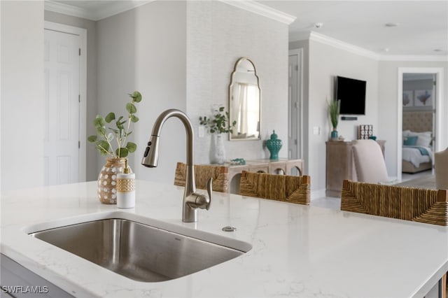 interior details featuring ornamental molding and sink