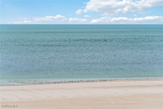 view of water feature with a beach view