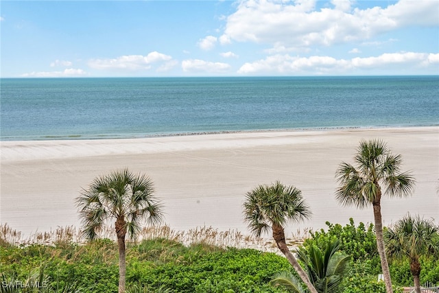 view of water feature featuring a beach view