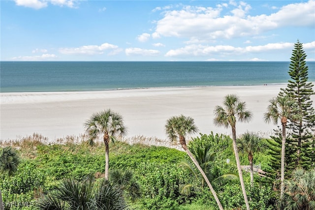 property view of water featuring a beach view