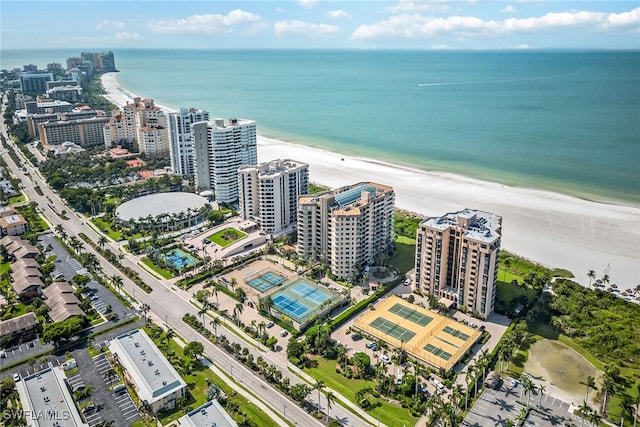 drone / aerial view with a water view and a view of the beach