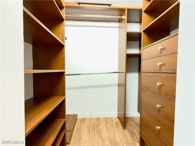 walk in closet featuring light hardwood / wood-style floors