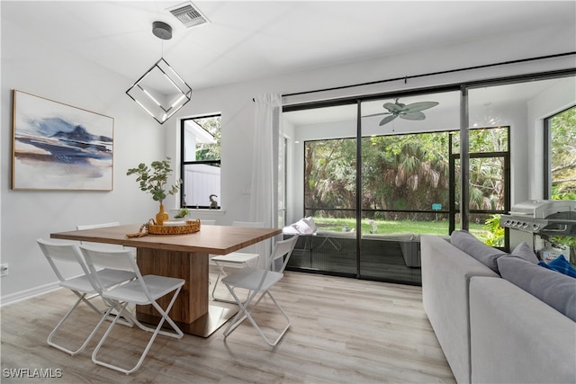 dining area with light hardwood / wood-style flooring and ceiling fan