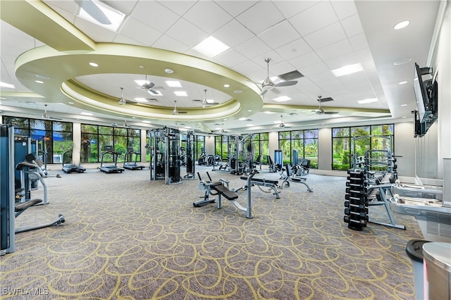 workout area with carpet flooring and a tray ceiling