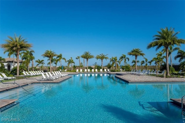 view of swimming pool