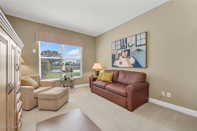 living room featuring carpet