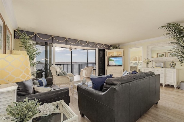 living room featuring ornamental molding and light hardwood / wood-style flooring