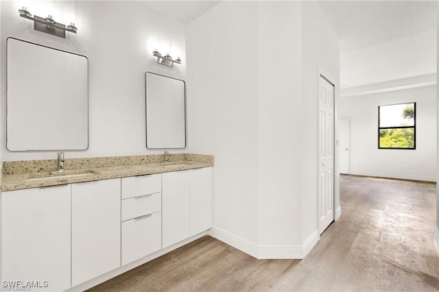 bathroom with vanity and wood-type flooring