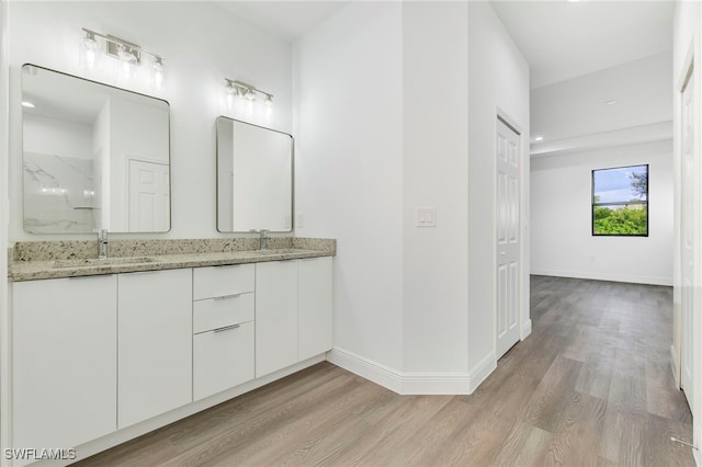 bathroom with wood-type flooring and vanity