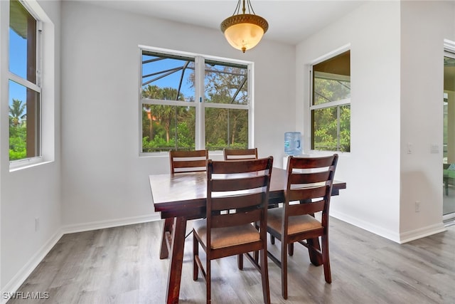 dining room with hardwood / wood-style flooring