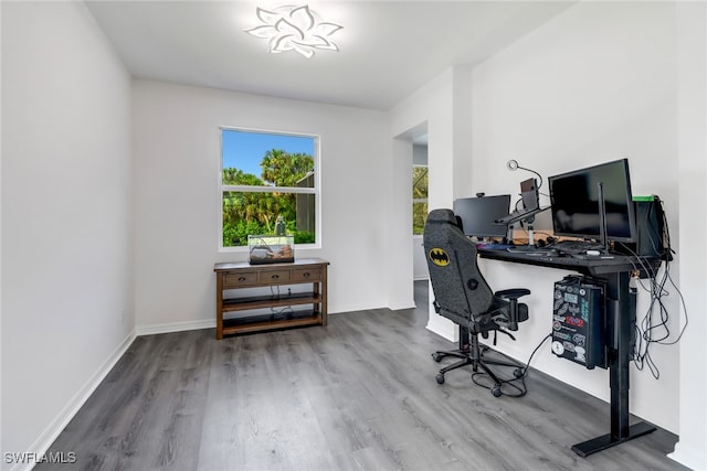 office with wood-type flooring