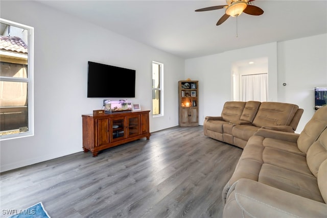 living room featuring ceiling fan and wood-type flooring