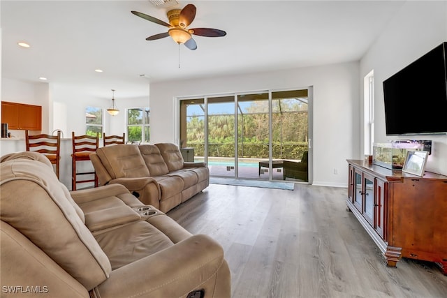 living room featuring ceiling fan, light hardwood / wood-style flooring, and plenty of natural light