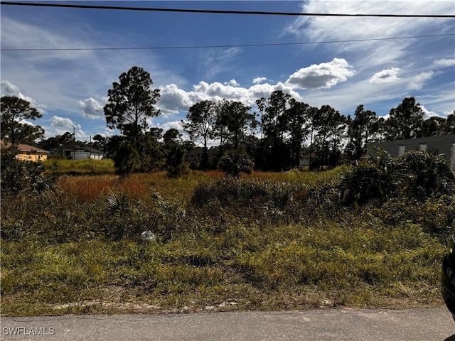 2909 28th St SW, Lehigh Acres FL, 33976 land for sale