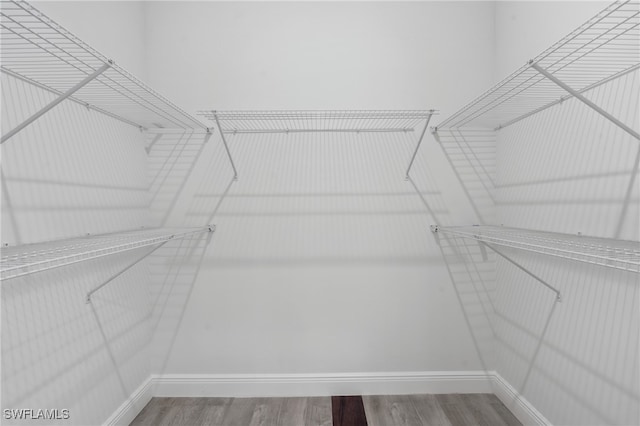 walk in closet with wood-type flooring