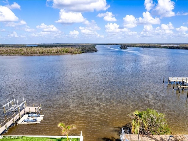 property view of water featuring a boat dock